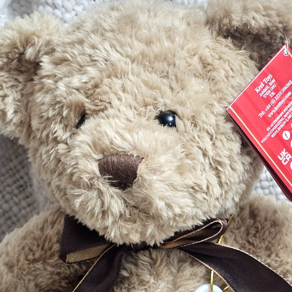 Hugo' The Memorial Snuggle Bear image 3
