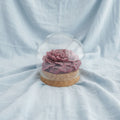 Eternal Rose in Glass Dome Memorial Ashes Keepsake
