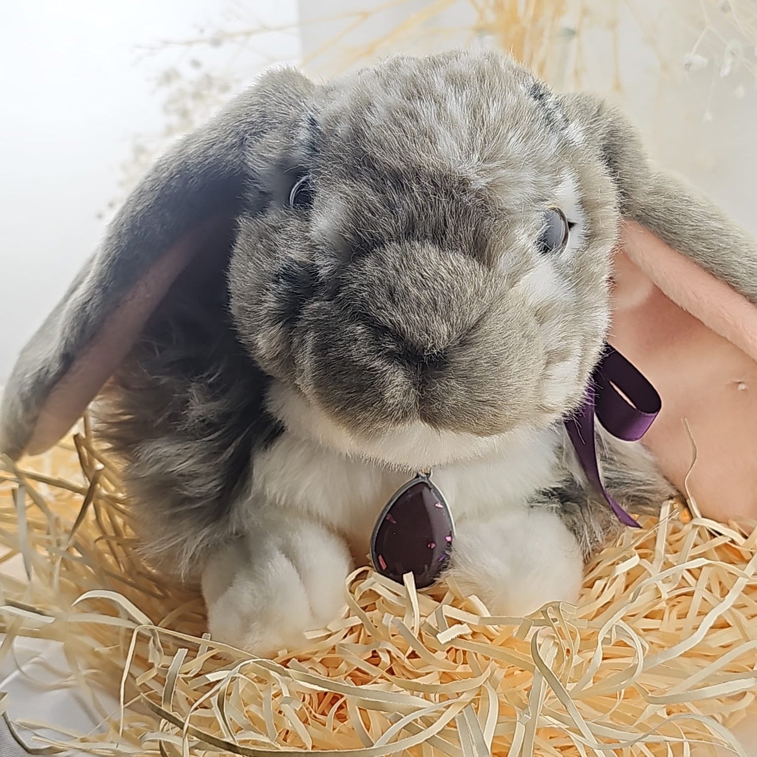 Thumper - The Memorial Snuggle Bunny.