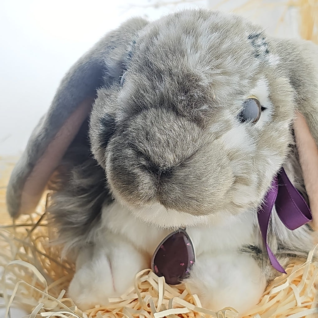 Thumper - The Memorial Snuggle Bunny .