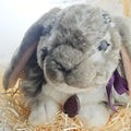 Thumper - The Memorial Snuggle Bunny .