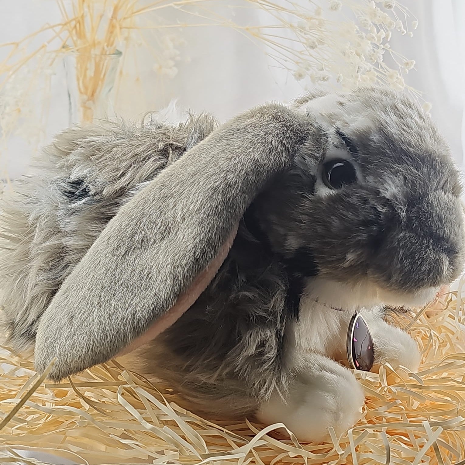 Thumper - The Memorial Teddy Bear Snuggle Bunny.